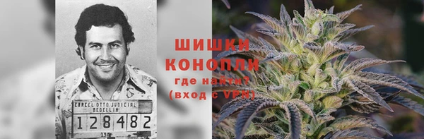 эйфоретик Бородино
