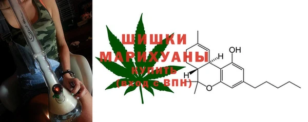эйфоретик Бородино