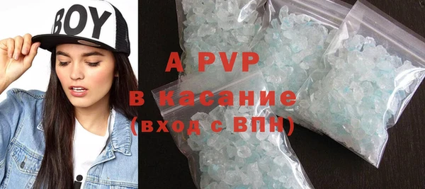 эйфоретик Бородино