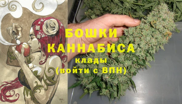 эйфоретик Бородино