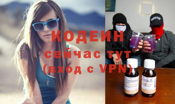 эйфоретик Бородино