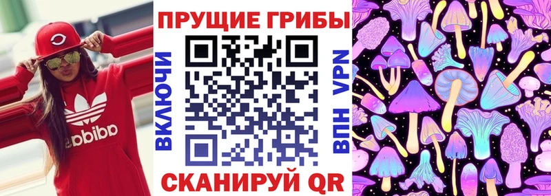Псилоцибиновые грибы Magic Shrooms  Подольск 